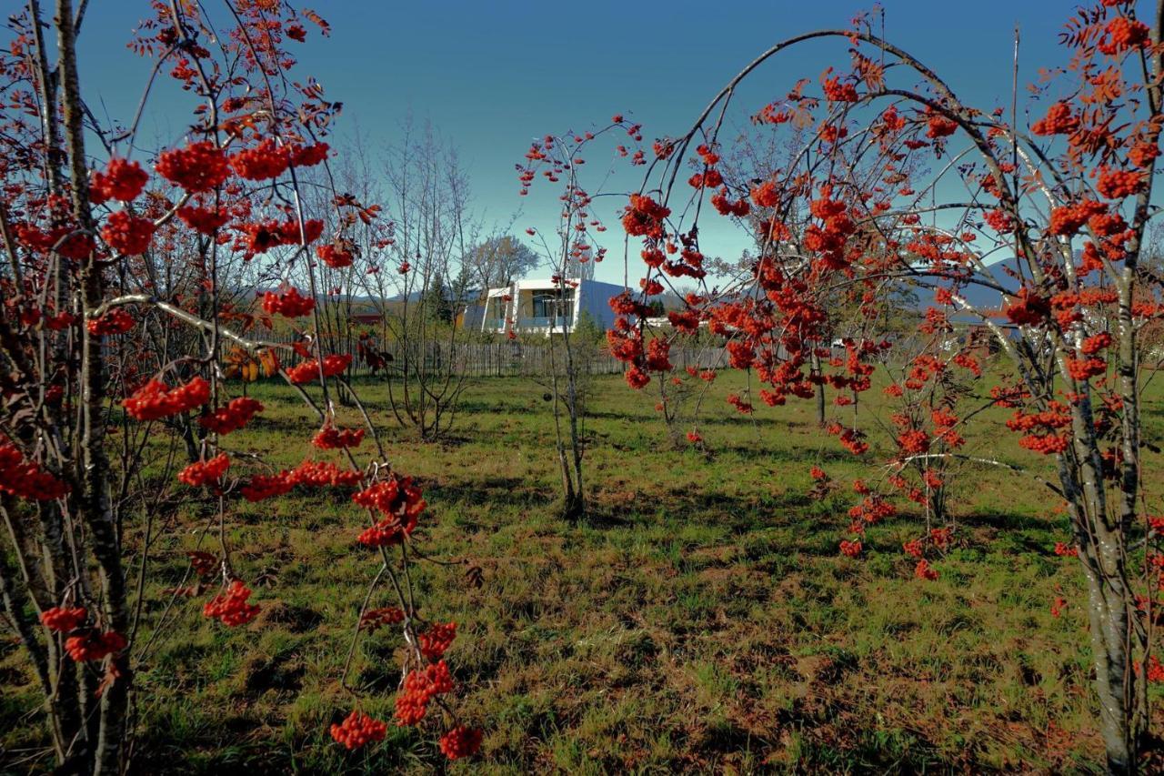 Gartenlofts Auf Gut Guntrams Schwarzau am Steinfelde Buitenkant foto